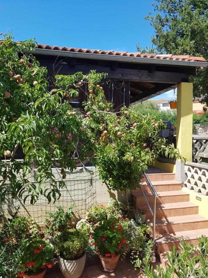 Apartmani Grguric Kornić Exteriör bild